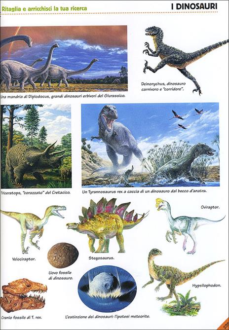 Preistoria. L'evoluzione della vita sulla Terra. Ediz. illustrata - 6