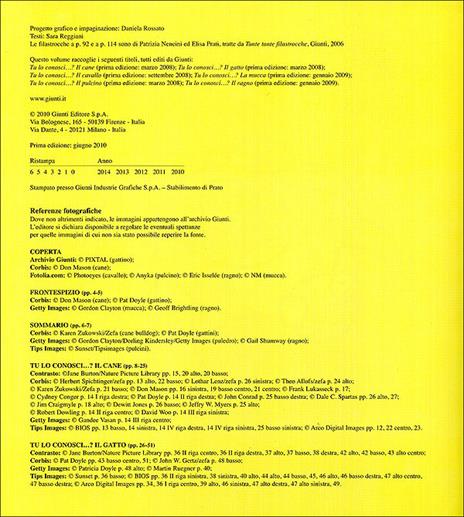 Gli animali. Cane, gatto, cavallo, mucca, pulcino, ragno - Sara Reggiani - 2