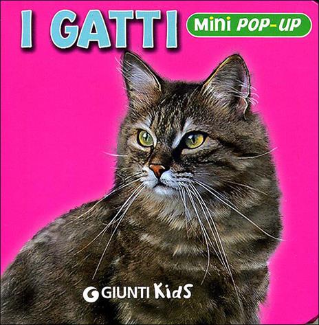 I gatti. Libro pop-up. Ediz. illustrata - Federico Gerace,Alessandro Bartolozzi - copertina