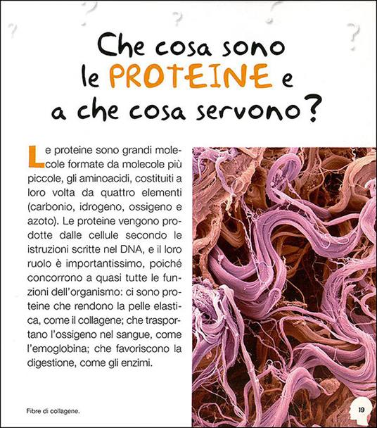 Il corpo umano. 1000 domande 1000 risposte - Paola Fabris - 2