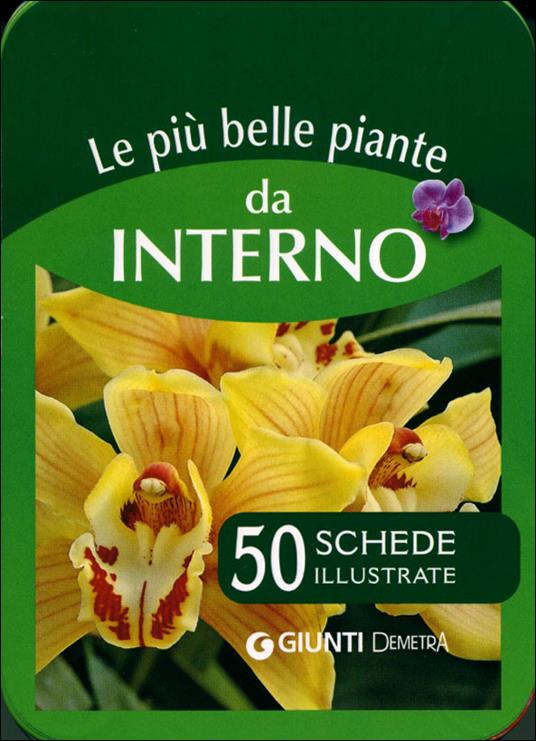 Le più belle piante da interno. 50 schede illustrate - 3