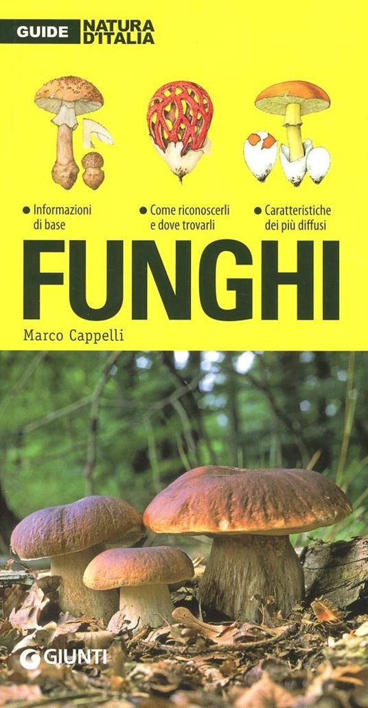 Funghi - Marco Cappelli - copertina
