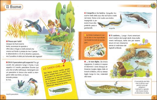 Ambienti. Con adesivi - Giuseppe Zanini,Tony Wolf,Anna Casalis - 2