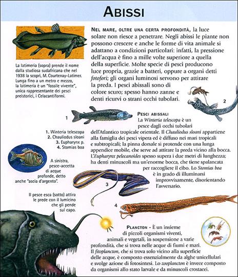 Enciclopedia illustrata per ragazzi. Ediz. illustrata - 3