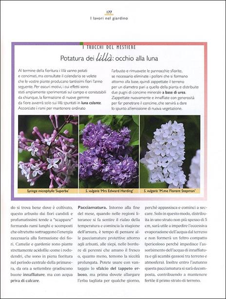 Il maestro giardiniere. Segreti e consigli per il giardino, l'orto e il frutteto - Carlo Pagani,Mimma Pallavicini - 5