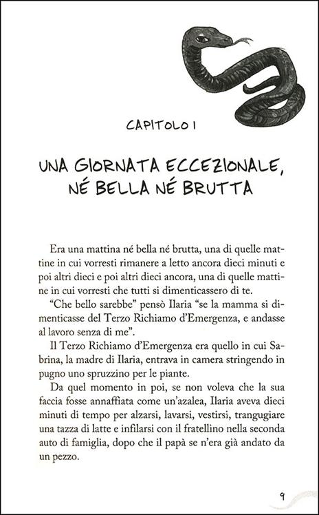 Il lago dei quattro vulcani. Vanity Ves - Martino Ferro - 2