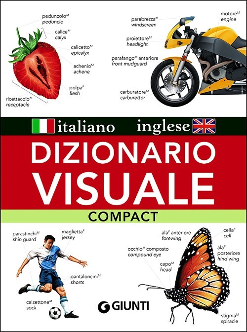 L'Odissea Libri e Arte