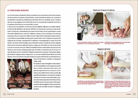 Carni bovine, suine e ovine - 3