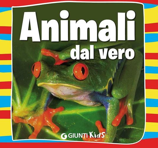 Animali dal vero - Emanuela Busà - copertina