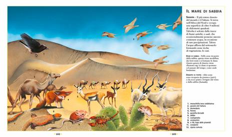 Enciclopedia illustrata degli animali - Paul Cloche,Giorgio Chiozzi,Clementina Coppini - 4