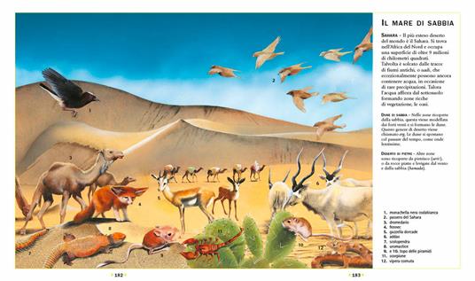 Enciclopedia illustrata degli animali - Paul Cloche,Giorgio Chiozzi,Clementina Coppini - 4