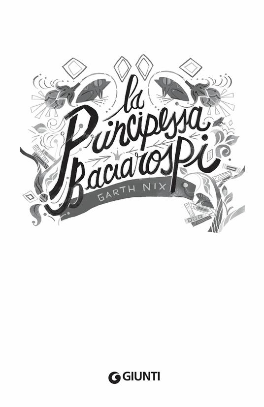 La principessa Baciarospi - Garth Nix - 4