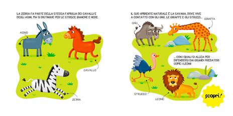 Gli animali selvaggi. Ediz. a colori - Francesca Pellegrino - 4