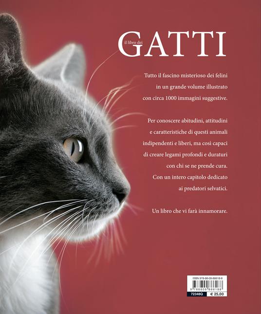 Il libro dei gatti - 2