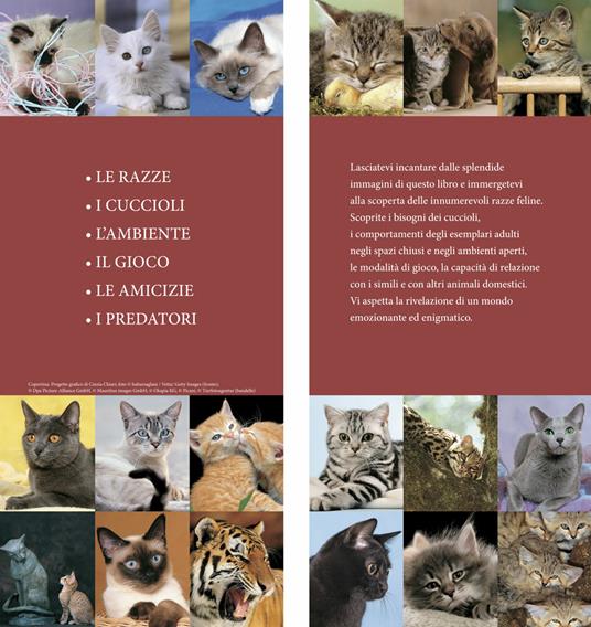 Il libro dei gatti - 3