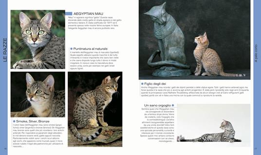 Il libro dei gatti - 4