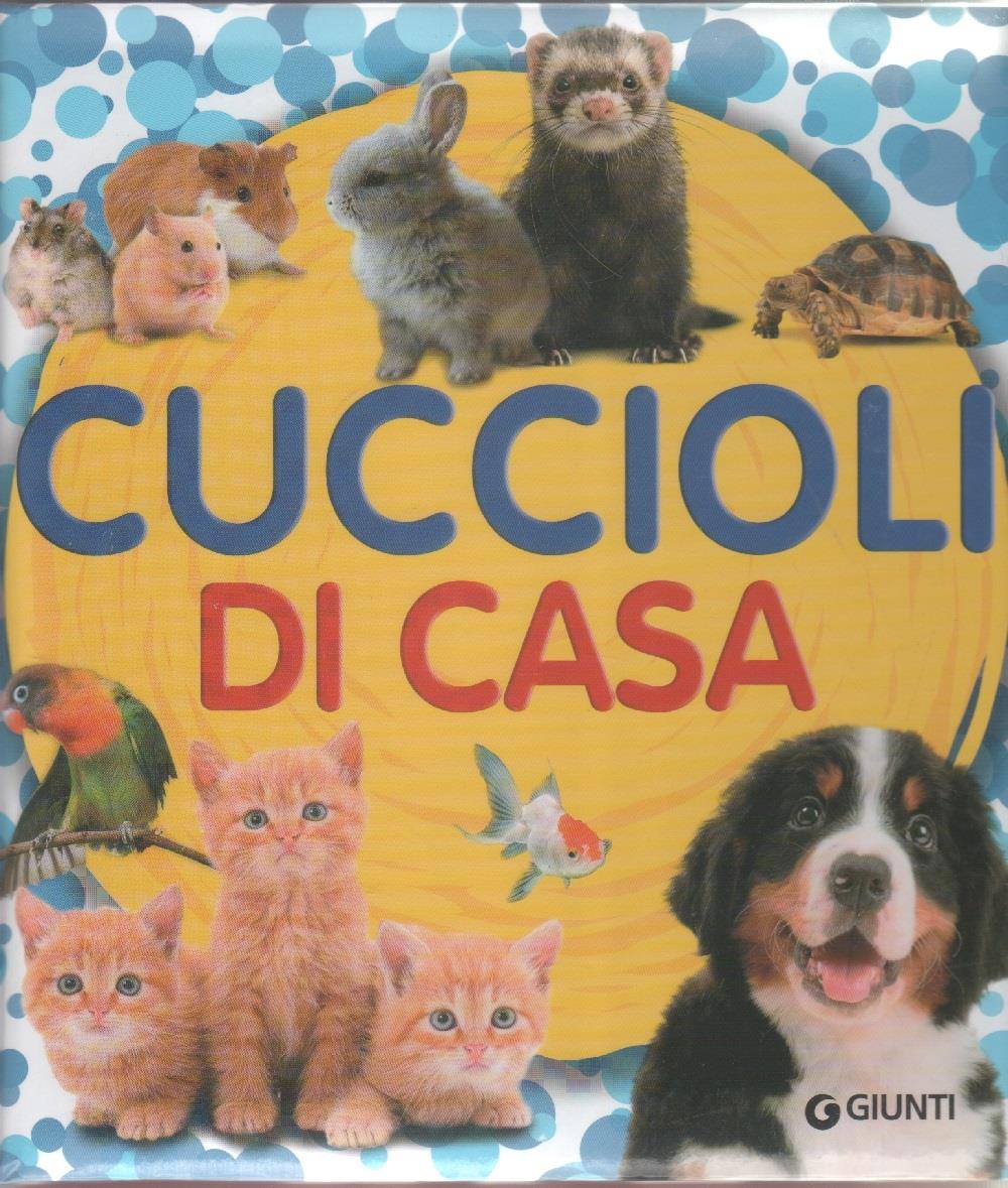Libreria Biblos di Costa Pierandrea