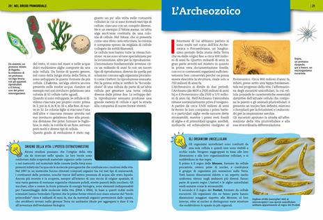 Preistoria. L'evoluzione della vita sulla Terra - 4