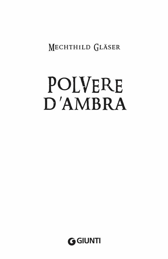 Polvere d'ambra - Mechthild Gläser - 4