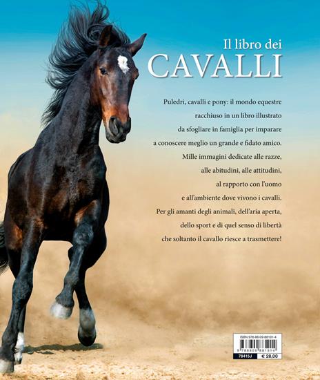 Il libro dei cavalli - Ulrike Schöber - 2