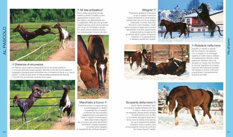 Il libro dei cavalli - Ulrike Schöber - 6