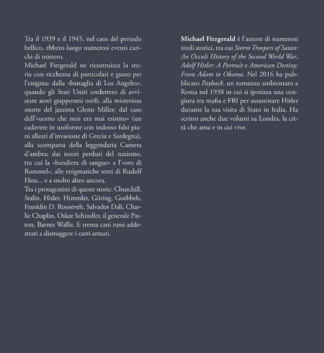 Il tesoro occulto dei nazisti e altri misteri irrisolti della seconda guerra mondiale - Michael Fitzgerald - 3