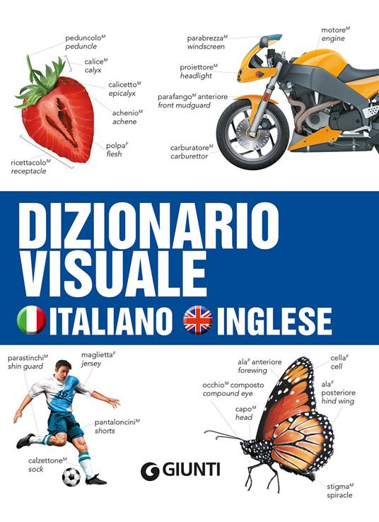 Dizionario comparato italiano-inglese sulle attività del ministero