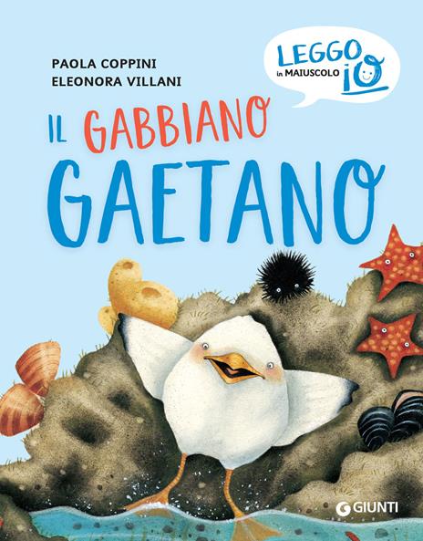 Il gabbiano Gaetano. Ediz. a colori - Paola Coppini - copertina