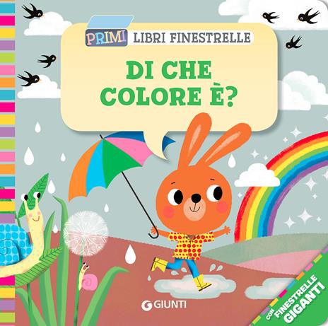 Di che colore è? Ediz. a colori - Anna Casalis - copertina