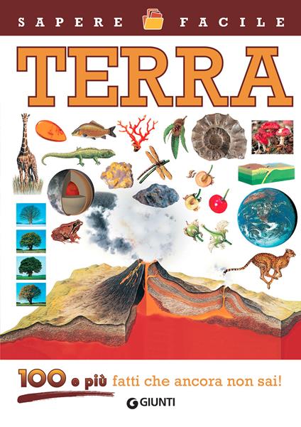 Terra. 100 e più fatti che ancora non sai! Ediz. a colori - copertina