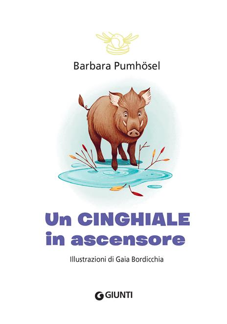 Un cinghiale in ascensore - Barbara Pumhoesel - 7