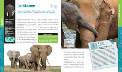 Nel mondo degli animali - Fulco Pratesi,Isabella Pratesi - 6