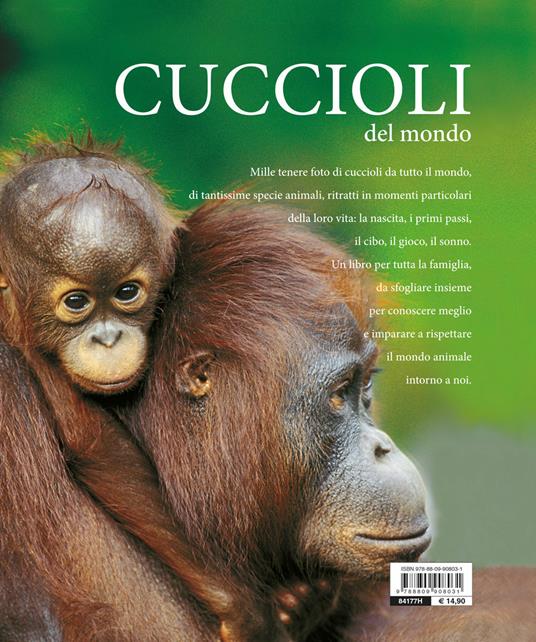 Cuccioli del mondo - Ulrike Schöber - 2