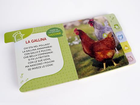 Animali della fattoria. Primi suoni. Ediz. a colori - Silvia D'Achille - 5