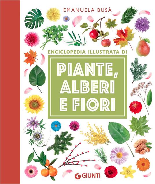 Enciclopedia illustrata di piante, alberi e fiori - Emanuela Busà - copertina