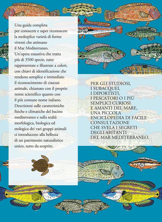 Fauna del Mediterraneo - Giovanni Nikiforos - 3