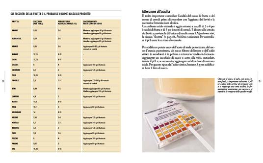 Aceto & aceti. Tutto il fascino delle fermentazioni e come realizzarle in casa - Manuela Vanni - 4