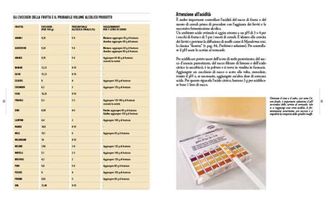 Aceto & aceti. Tutto il fascino delle fermentazioni e come realizzarle in casa - Manuela Vanni - 4
