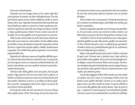 Storia di Bailey - W. Bruce Cameron - 3