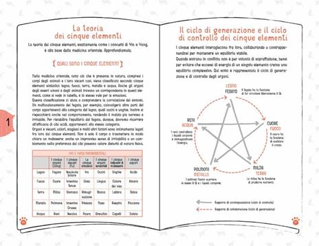 Coccole per gatti. Massaggi e carezze per felini felici - Takashi Ishino,Mana Aizawa - 2