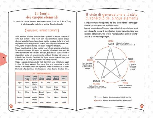 Coccole per gatti. Massaggi e carezze per felini felici - Takashi Ishino,Mana Aizawa - 2