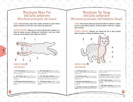 Coccole per gatti. Massaggi e carezze per felini felici - Takashi Ishino,Mana Aizawa - 3