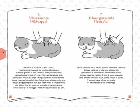 Coccole per gatti. Massaggi e carezze per felini felici - Takashi Ishino,Mana Aizawa - 4