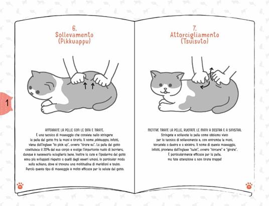 Coccole per gatti. Massaggi e carezze per felini felici - Takashi Ishino,Mana Aizawa - 4