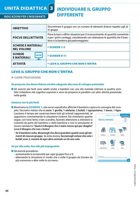 Come insegnare l'aritmetica a bambini e ragazzi con disabilità intellettiva. Un percorso didattico facilitato e graduale per l’apprendimento dei primi calcoli. Nuova ediz. Con schede per gli allievi e materiale per l'insegnante - Renzo Vianello - 4