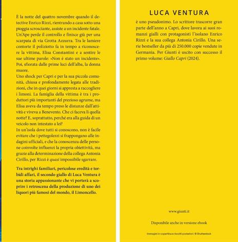 L'incidente di via Grotta Azzurra - Luca Ventura - 2