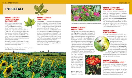 Il grande libro dei perché - Michele Lauro - 6