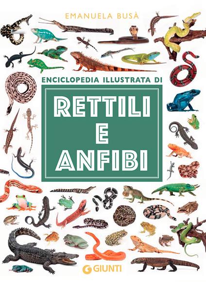 Enciclopedia illustrata di rettili e anfibi. Ediz. a colori - Emanuela Busà - copertina