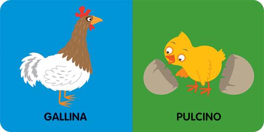 Animali. Ediz. illustrata - Paolo Turini - 3