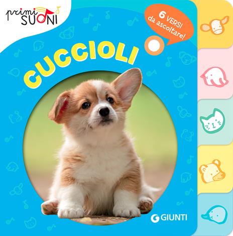 Cuccioli. Primi suoni - Silvia D'Achille - copertina